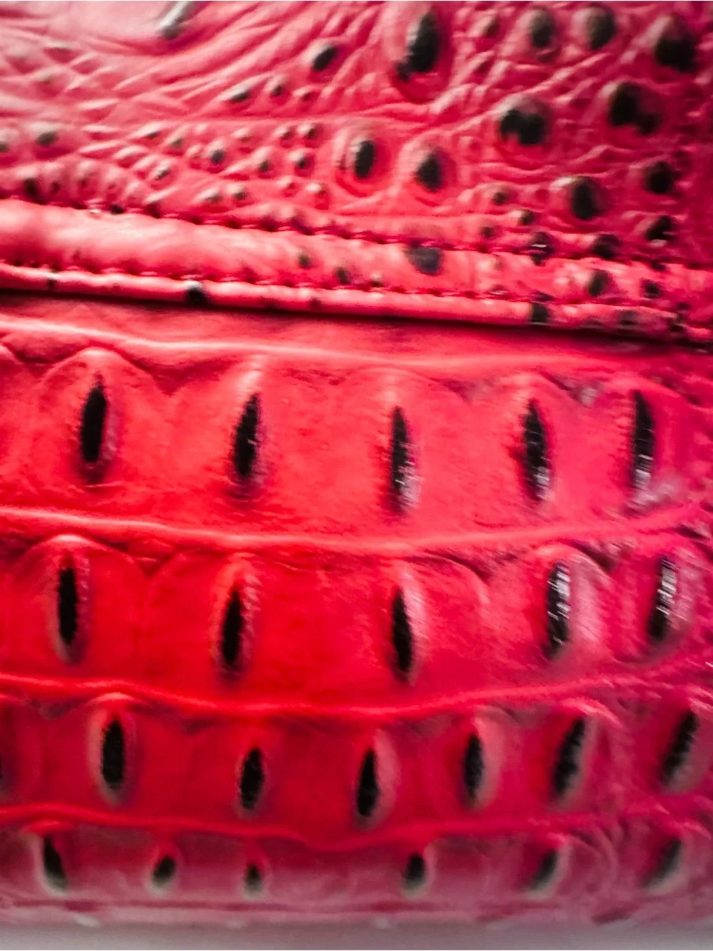 NWT Red Brighton Inspired Sue’s Collection Clutch/Purse/Handbag
